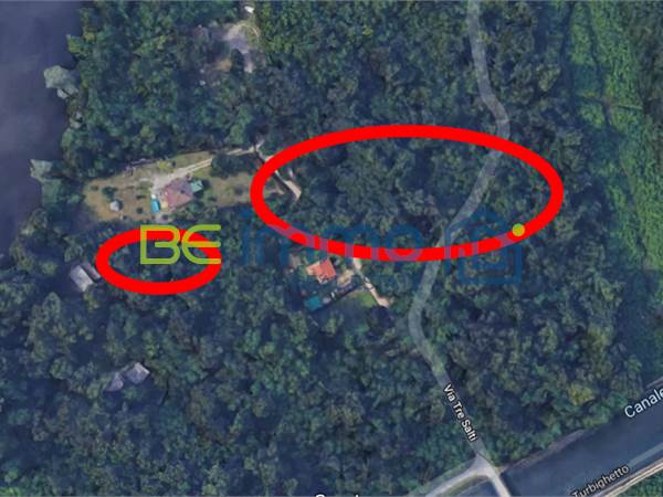 Parco del Ticino, Turbigo (MI) | Bosco ceduo